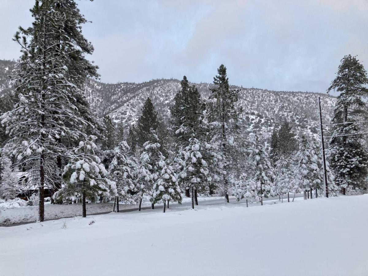 Pine Mountain Club The Old Bear Bnb المظهر الخارجي الصورة