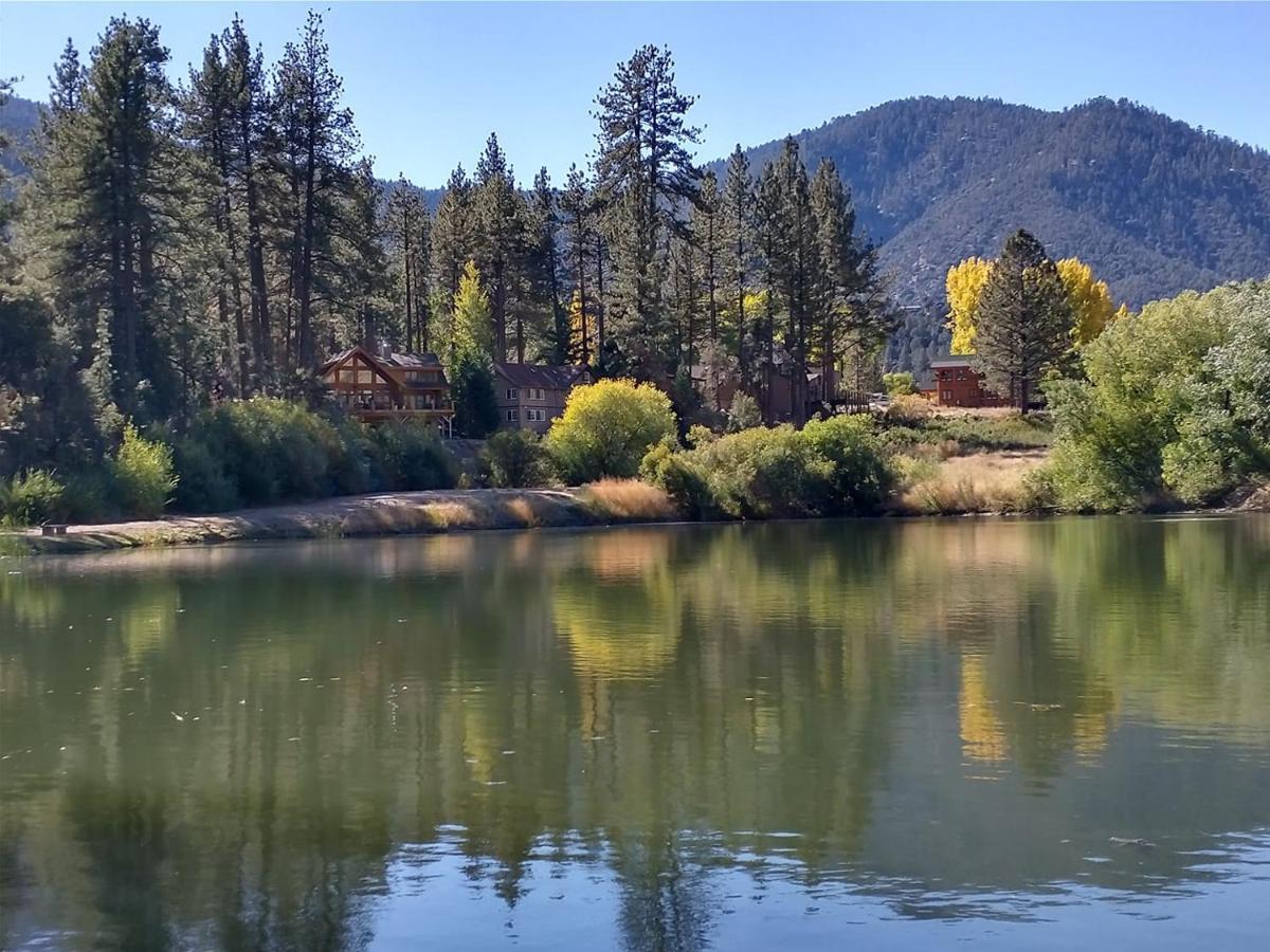 Pine Mountain Club The Old Bear Bnb المظهر الخارجي الصورة