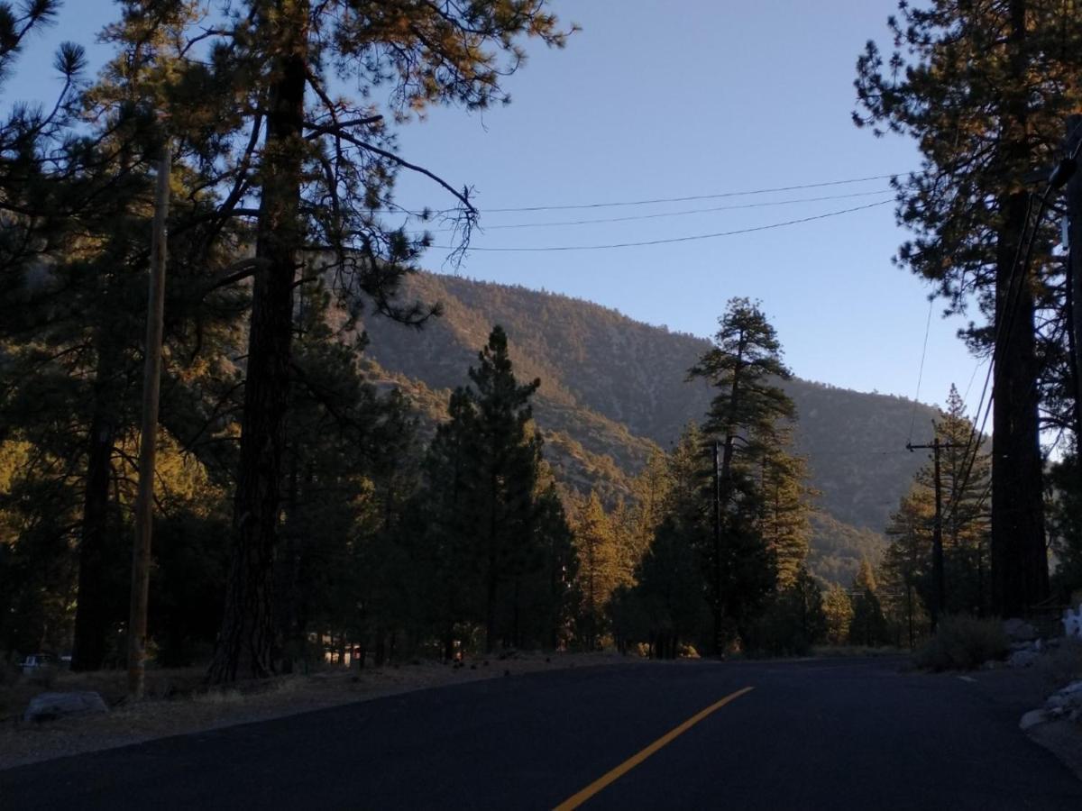 Pine Mountain Club The Old Bear Bnb المظهر الخارجي الصورة
