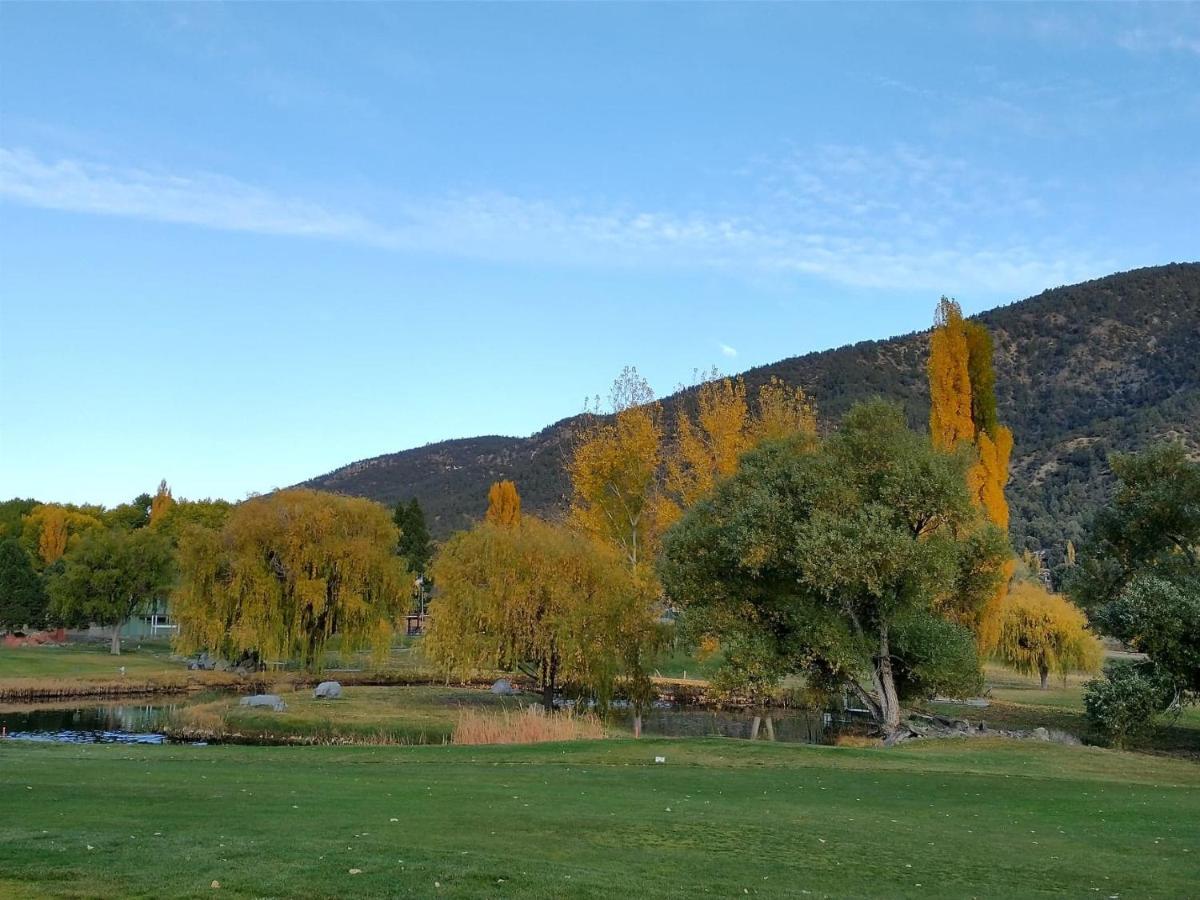Pine Mountain Club The Old Bear Bnb المظهر الخارجي الصورة